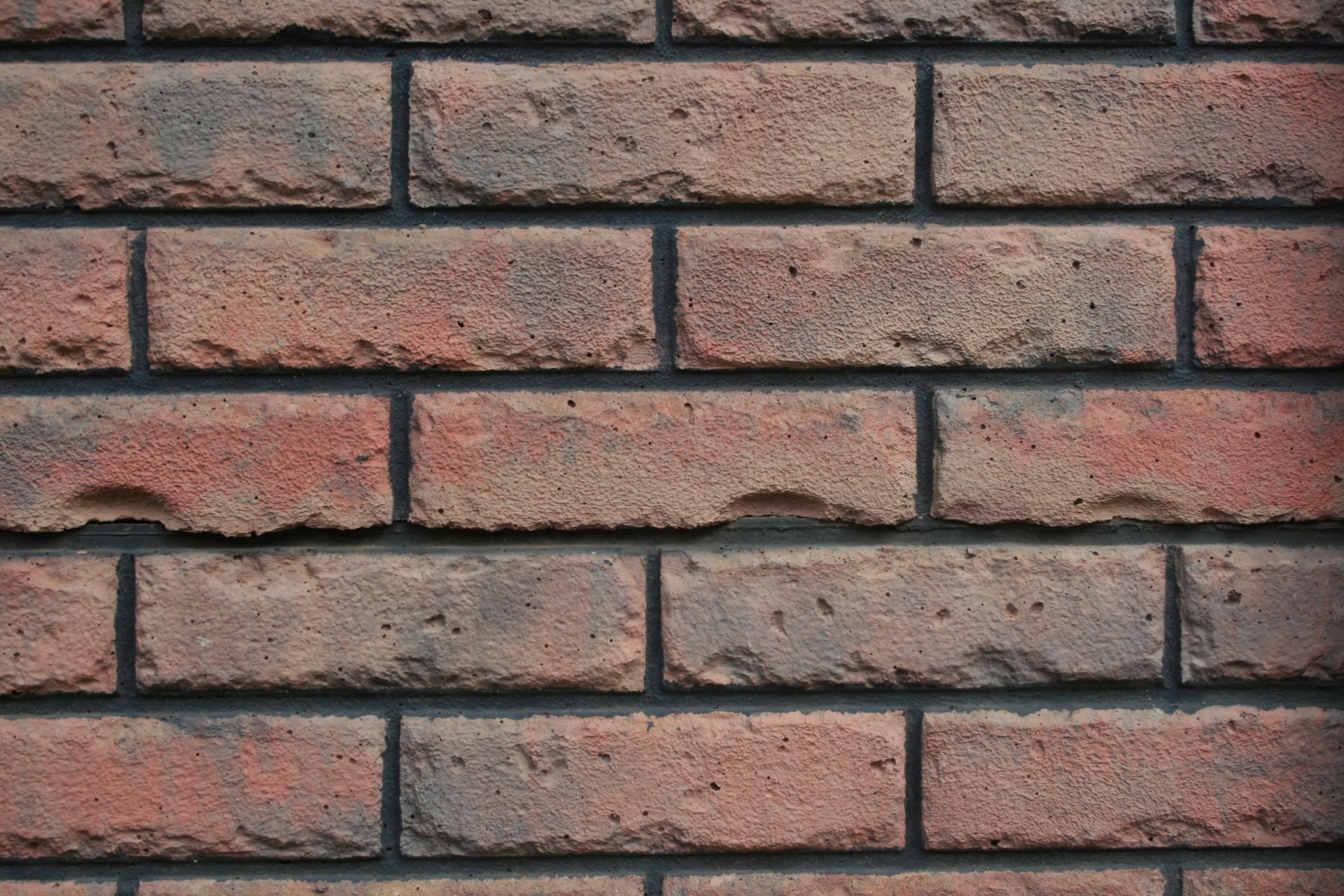 wall brick reds free photo