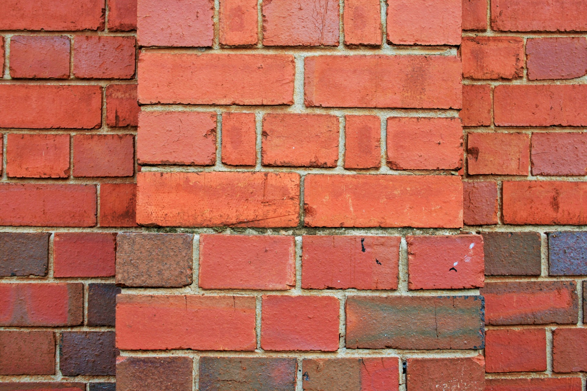 wall brick red free photo