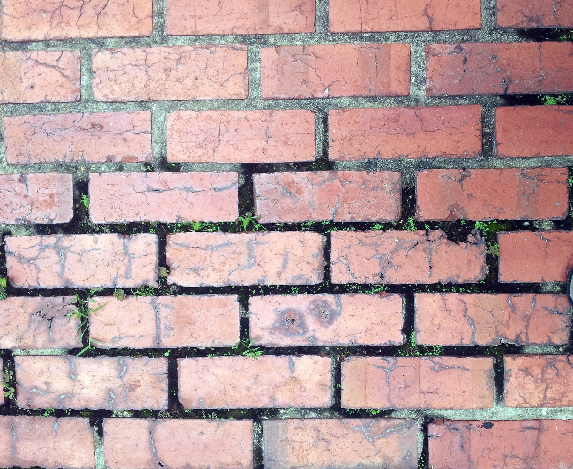 brick wall wallpaper free photo