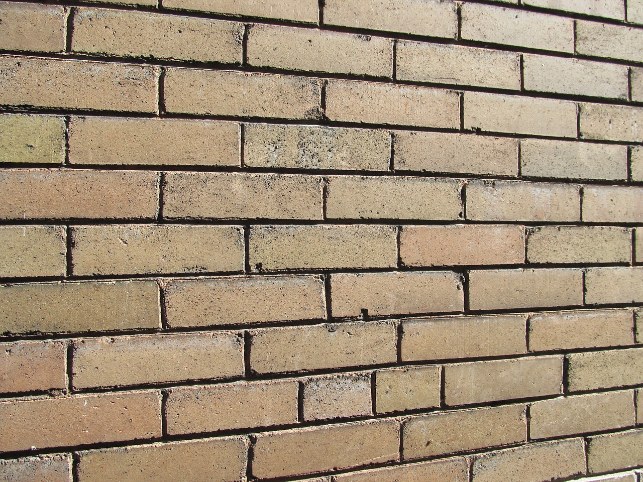 bricks brickwall wa free photo