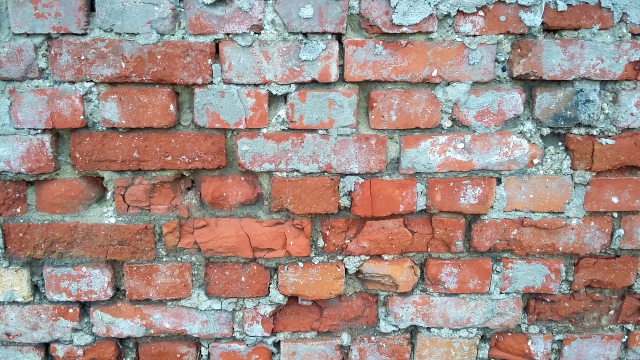 bricks wall texture free photo