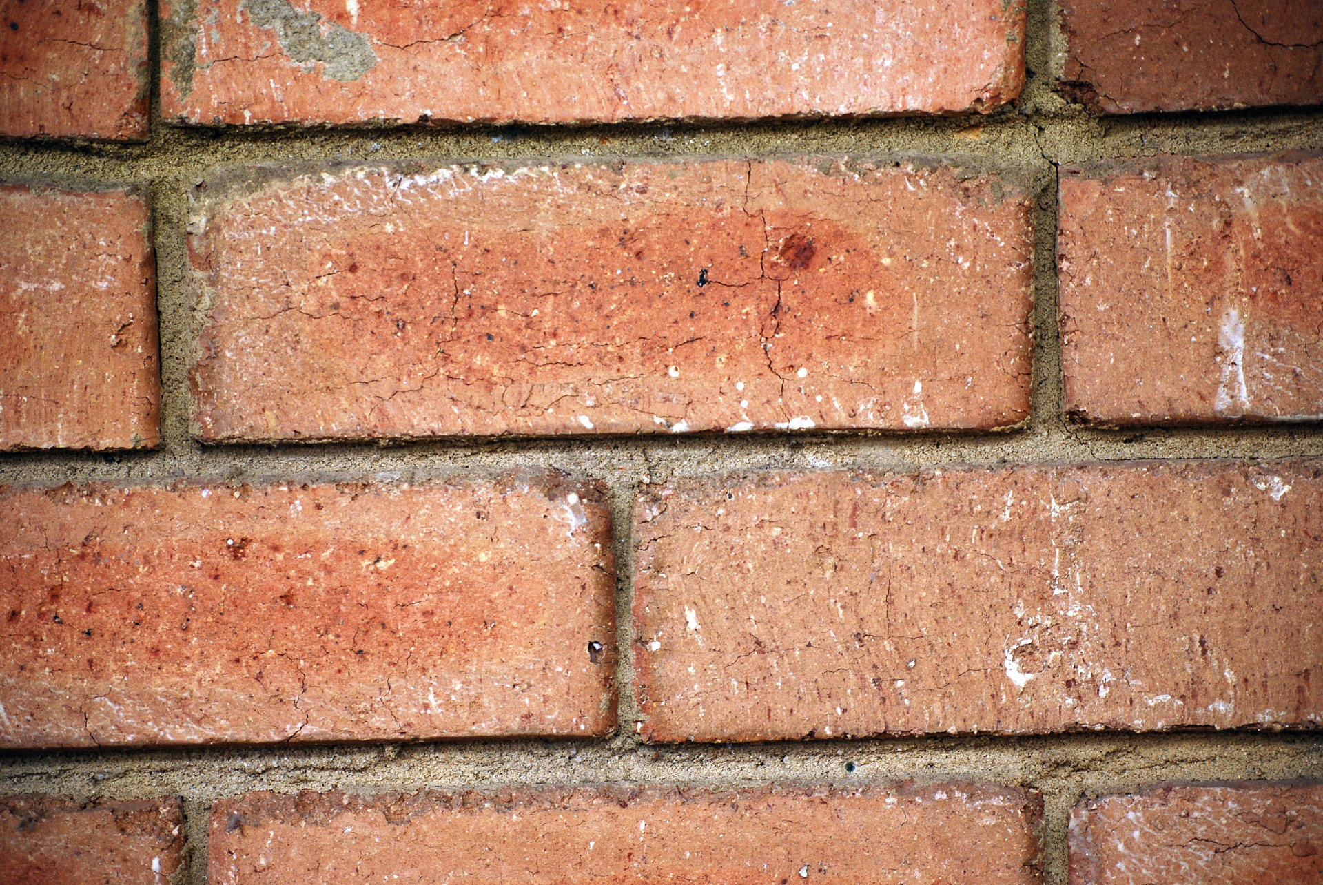 bricks wall bricks free photo