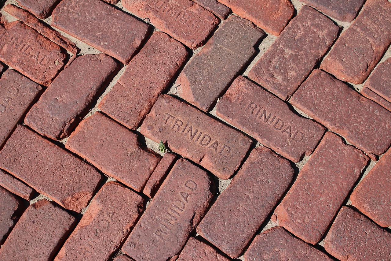bricks trinidad colorado free photo