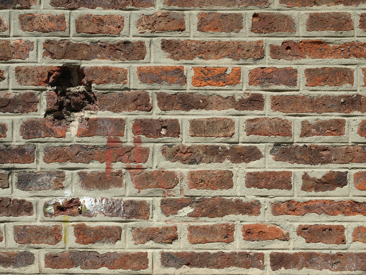 bricks wall red free photo