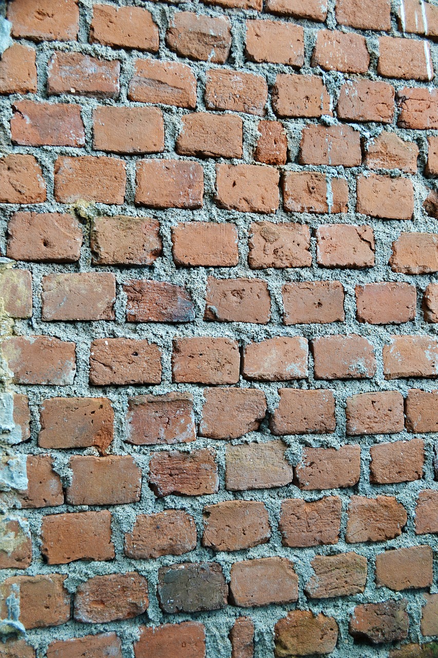 bricks texture wall free photo