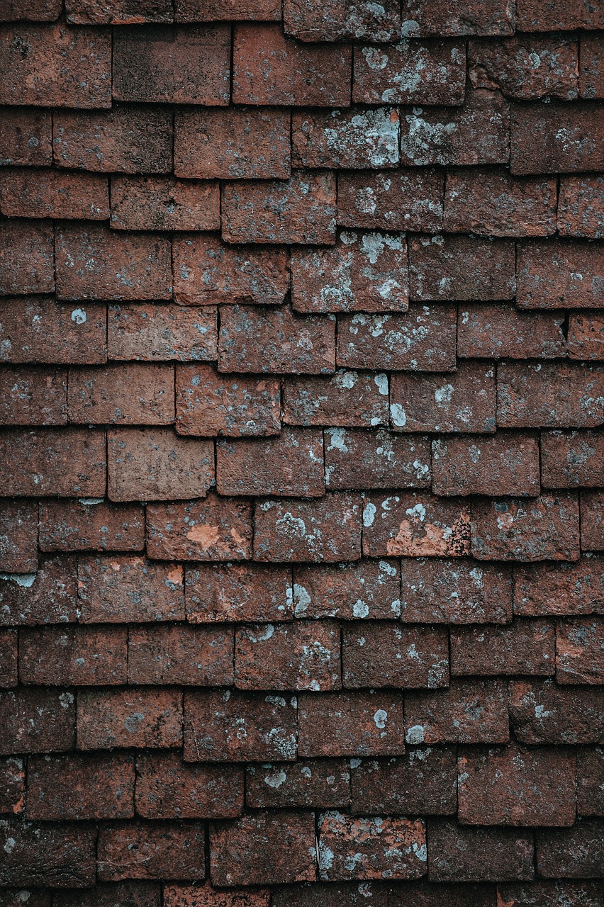 bricks wall brickwork free photo