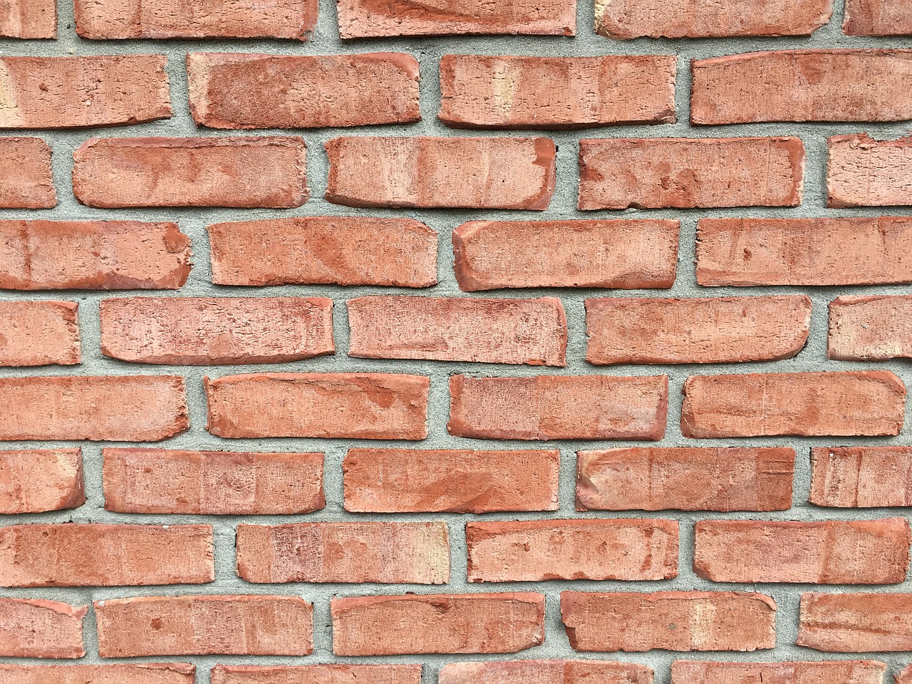 bricks wall graffiti free photo