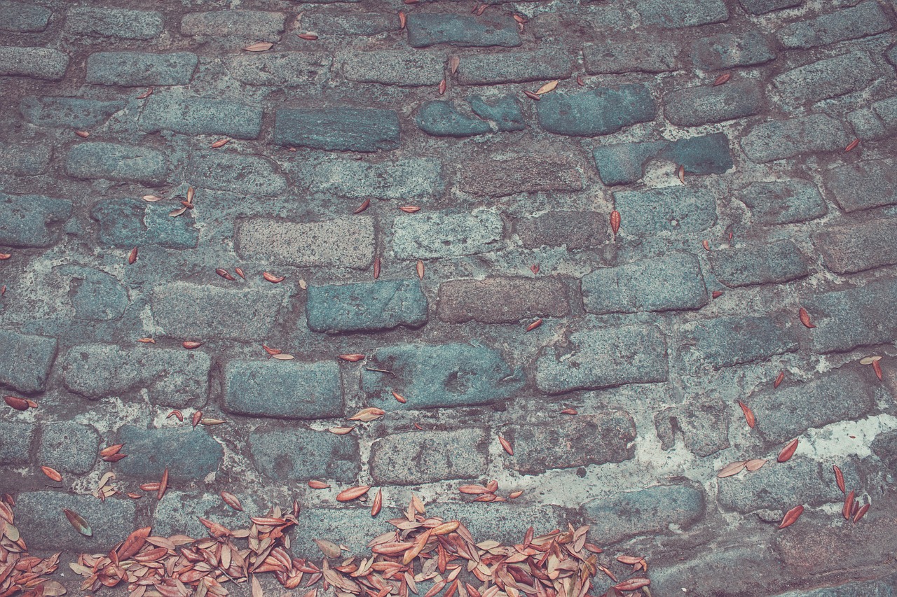 bricks wall leaves free photo