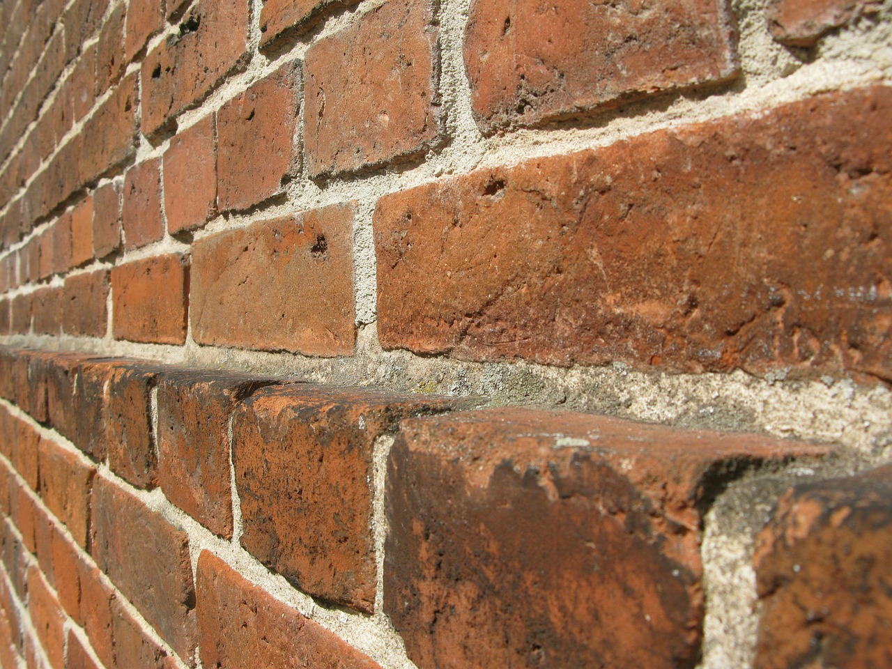 bricks zegel wall free photo