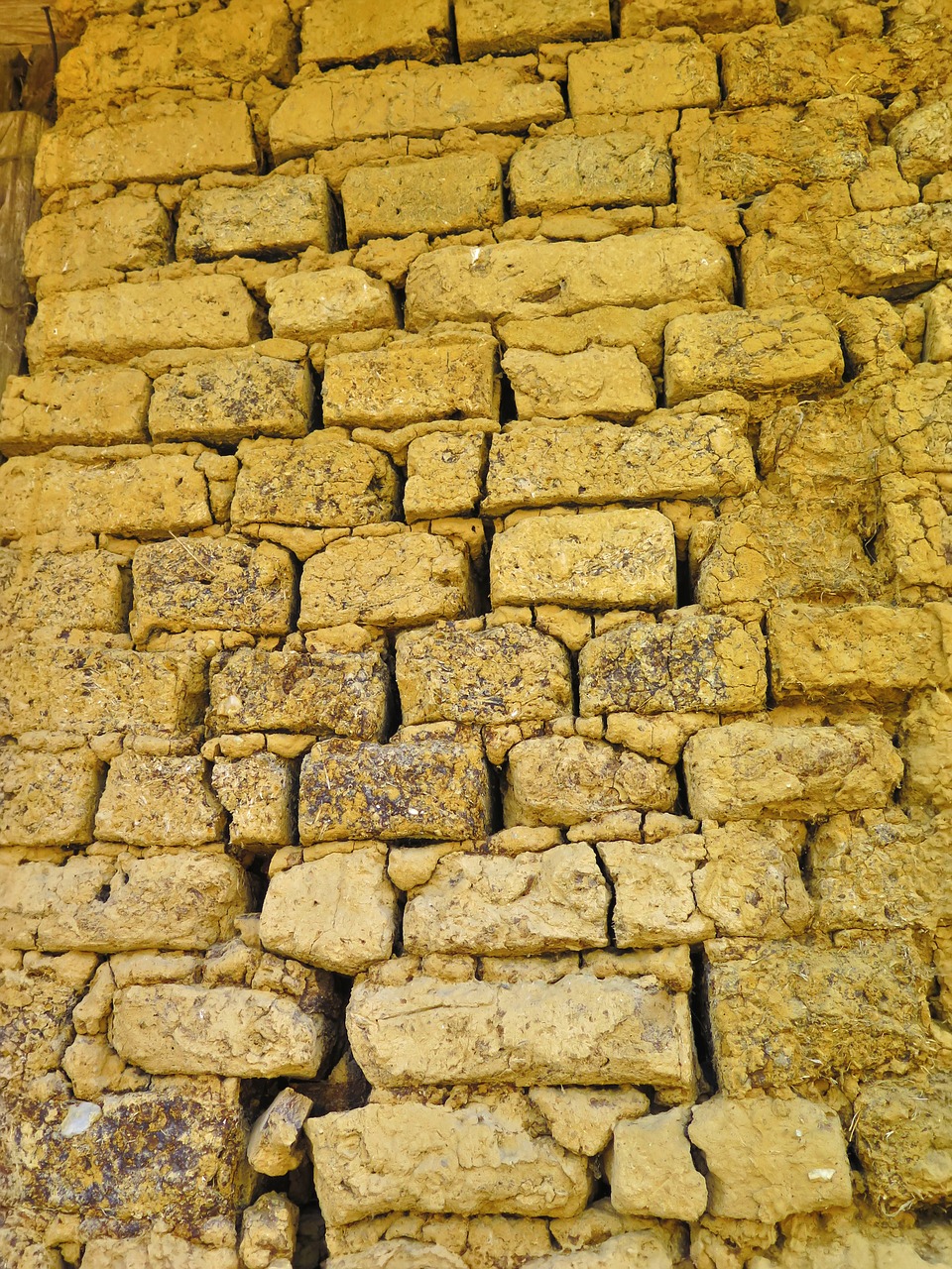 bricks building brick wall free photo