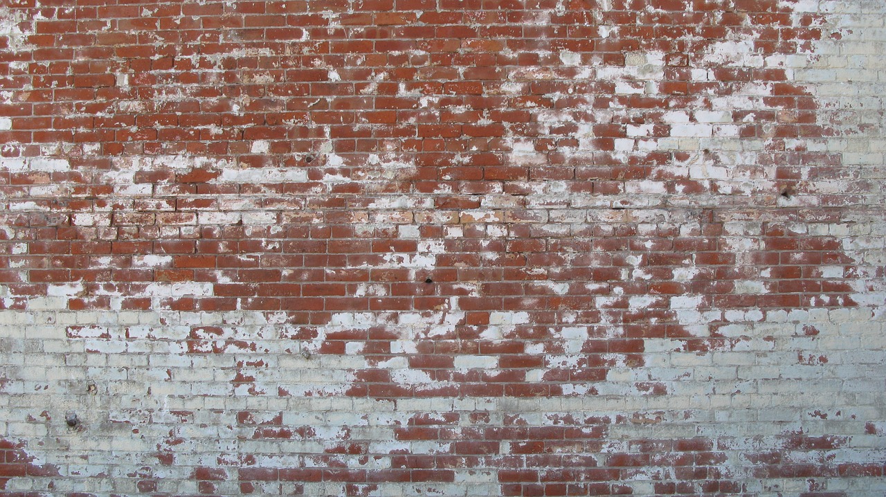 bricks  red bricks  brick wall free photo