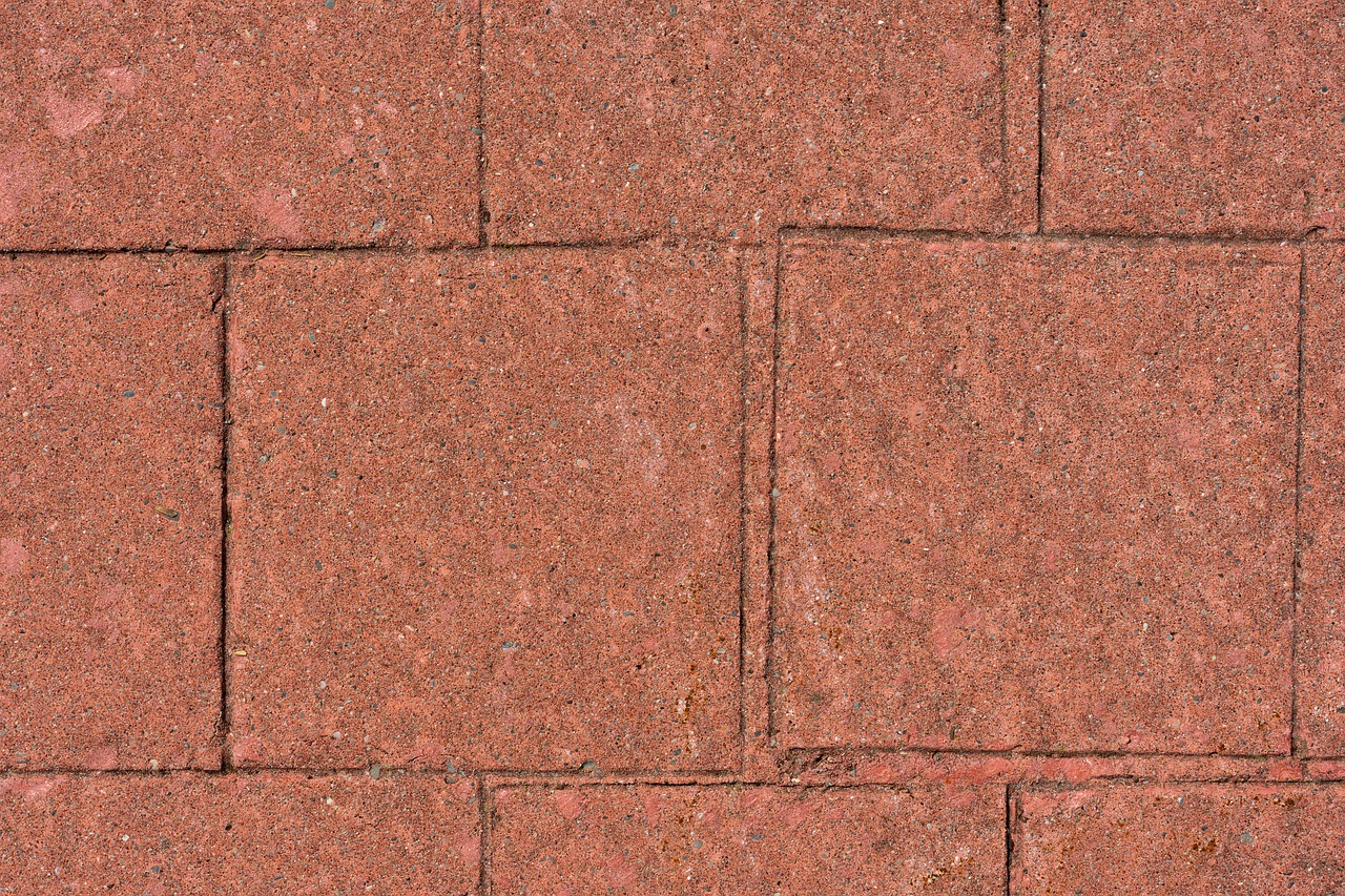 bricks  close up  wall free photo