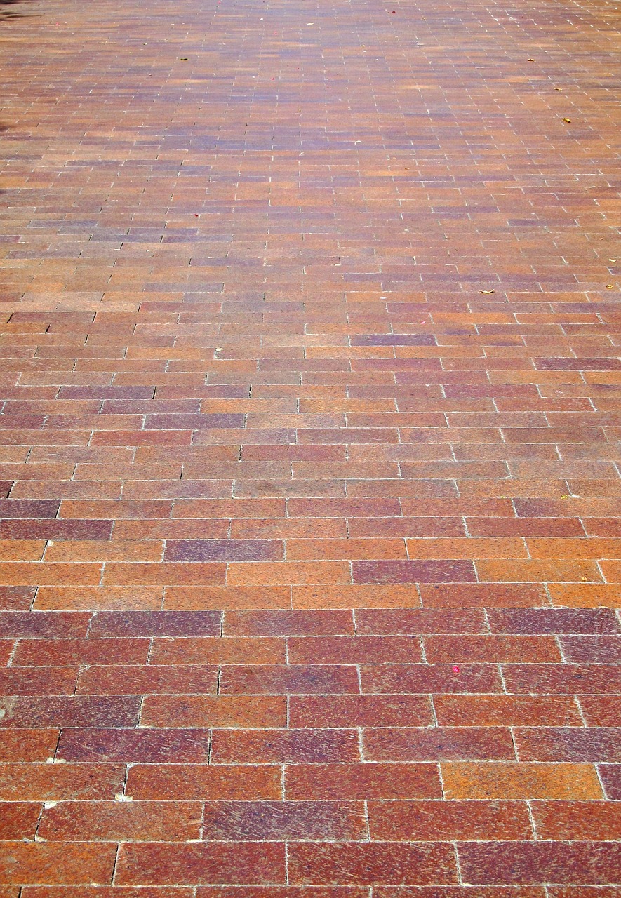 bricks pathway colorful free photo