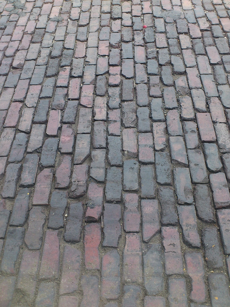 bricks pavement street free photo