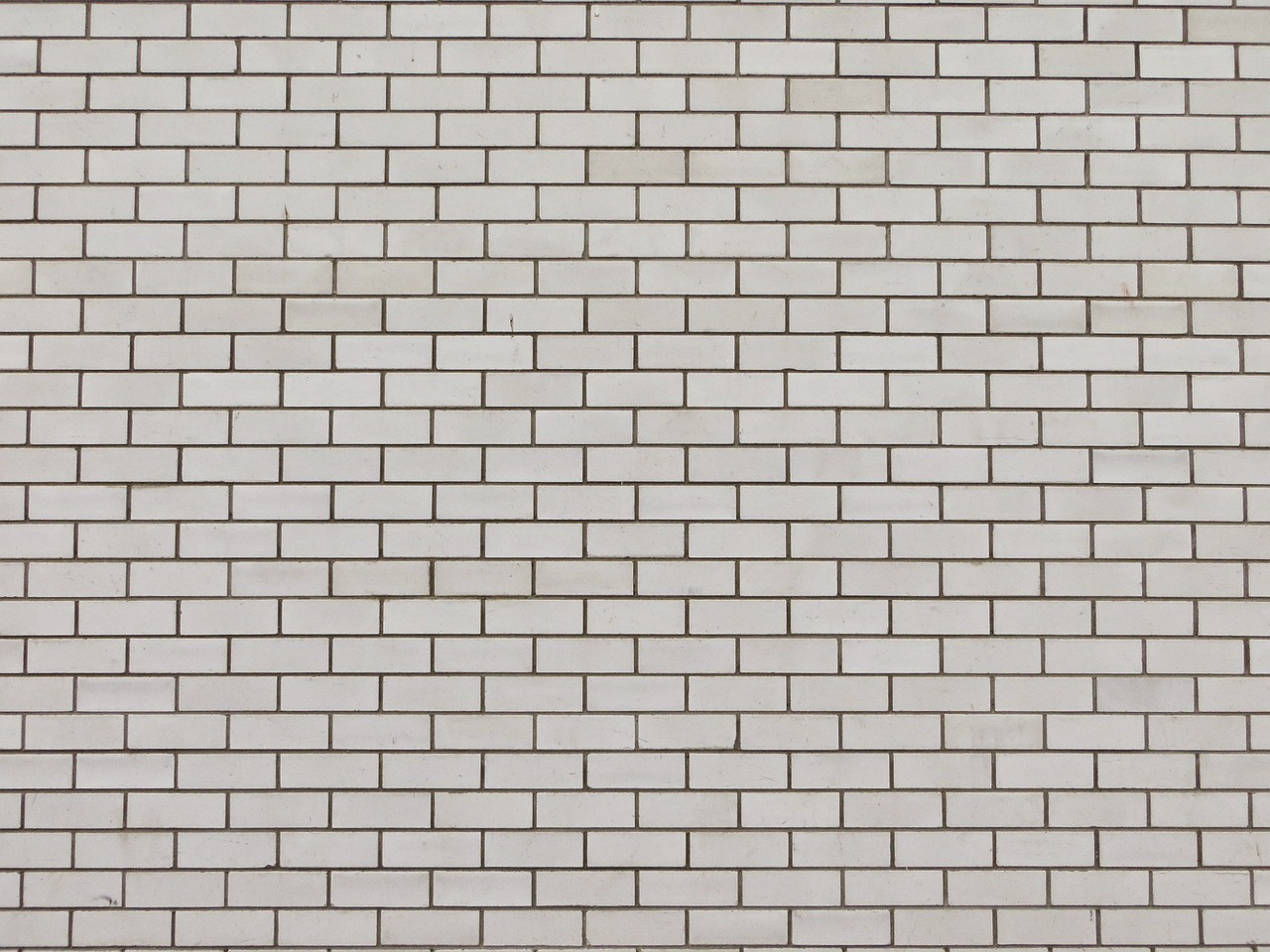 bricks brick wall white bricks free photo