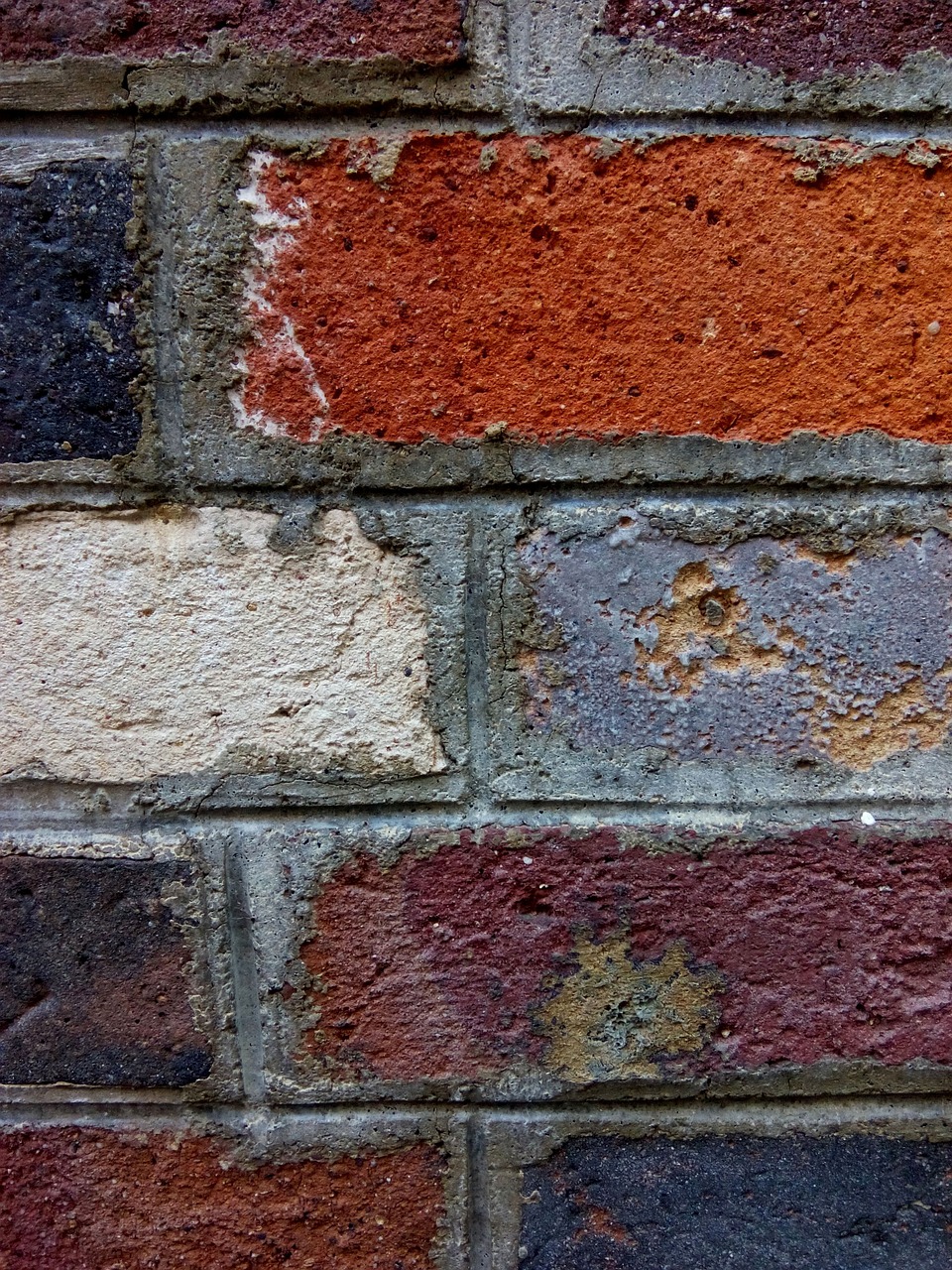 bricks wall texture free photo