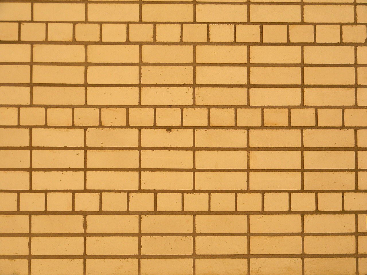 bricks texture background free photo