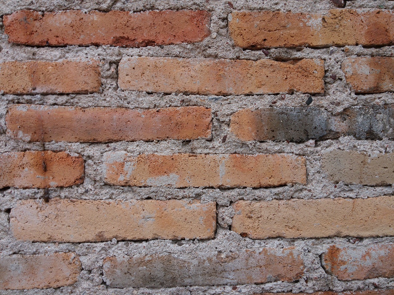 bricks septum wall free photo