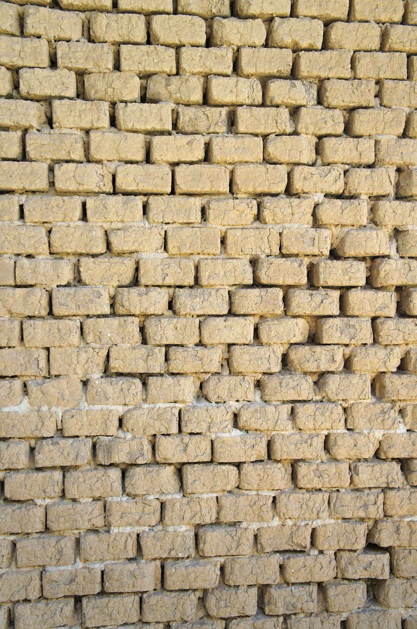bricks clay bricks wall free photo