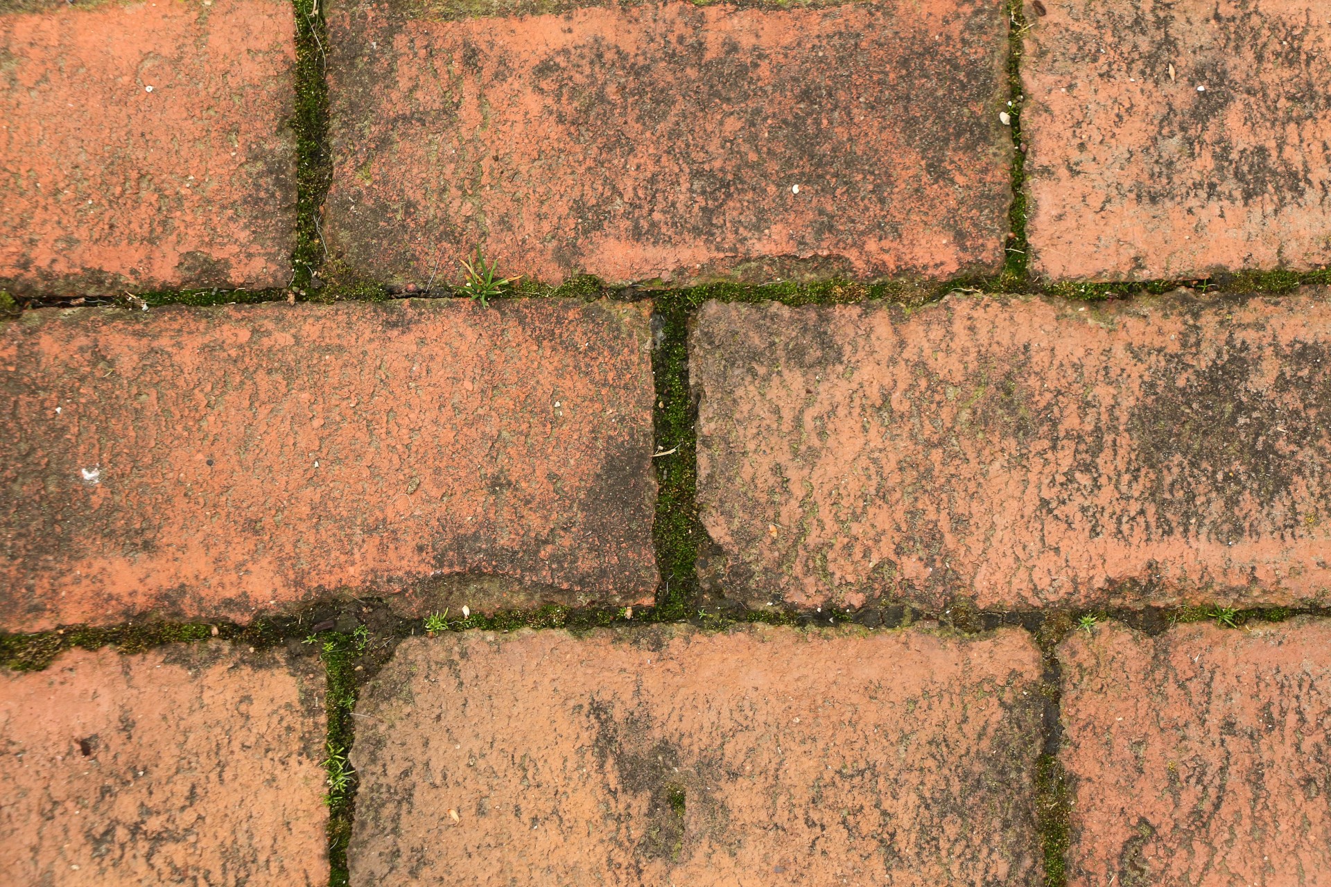 bricks pattern abstract free photo