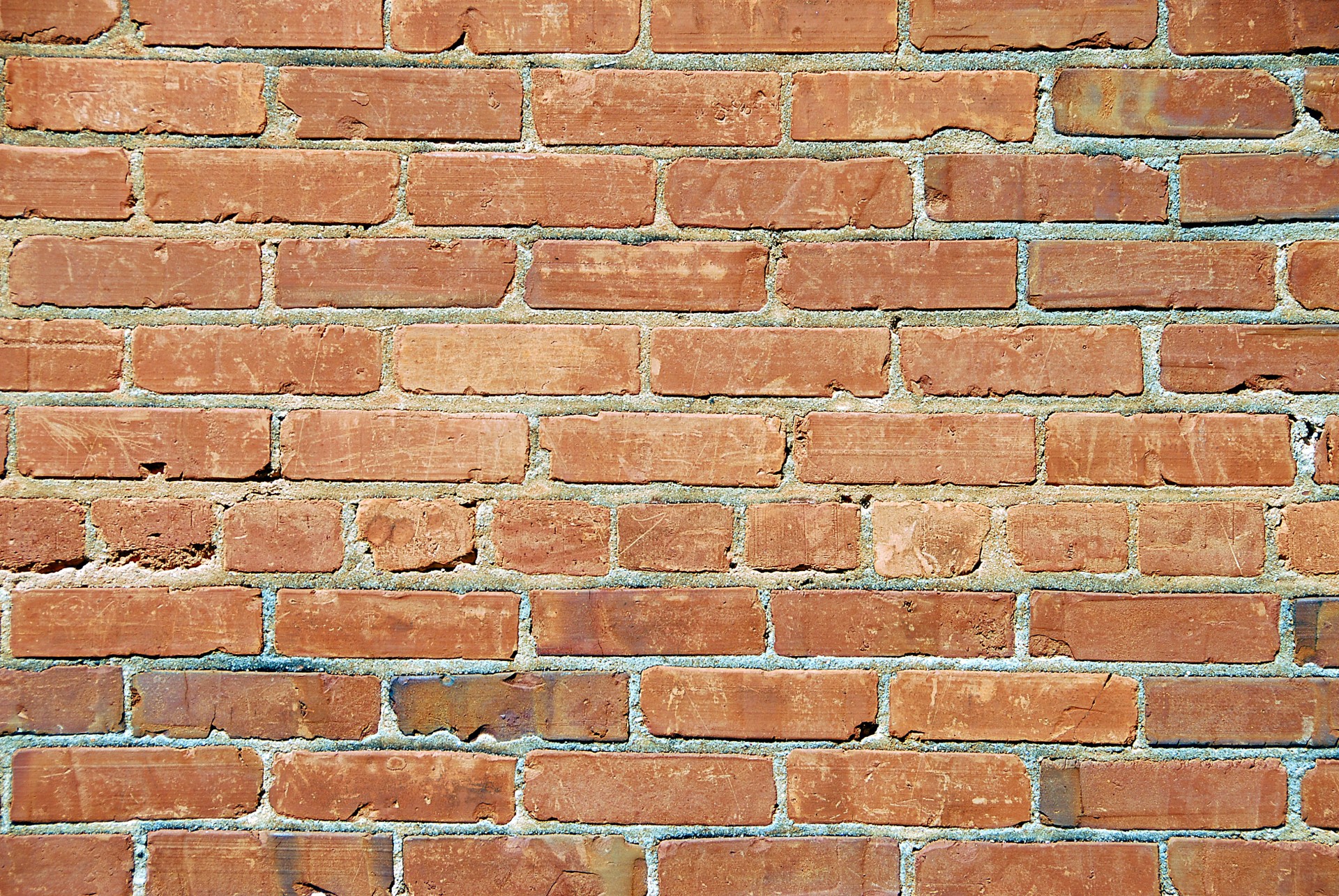 brick wall bricks red free photo