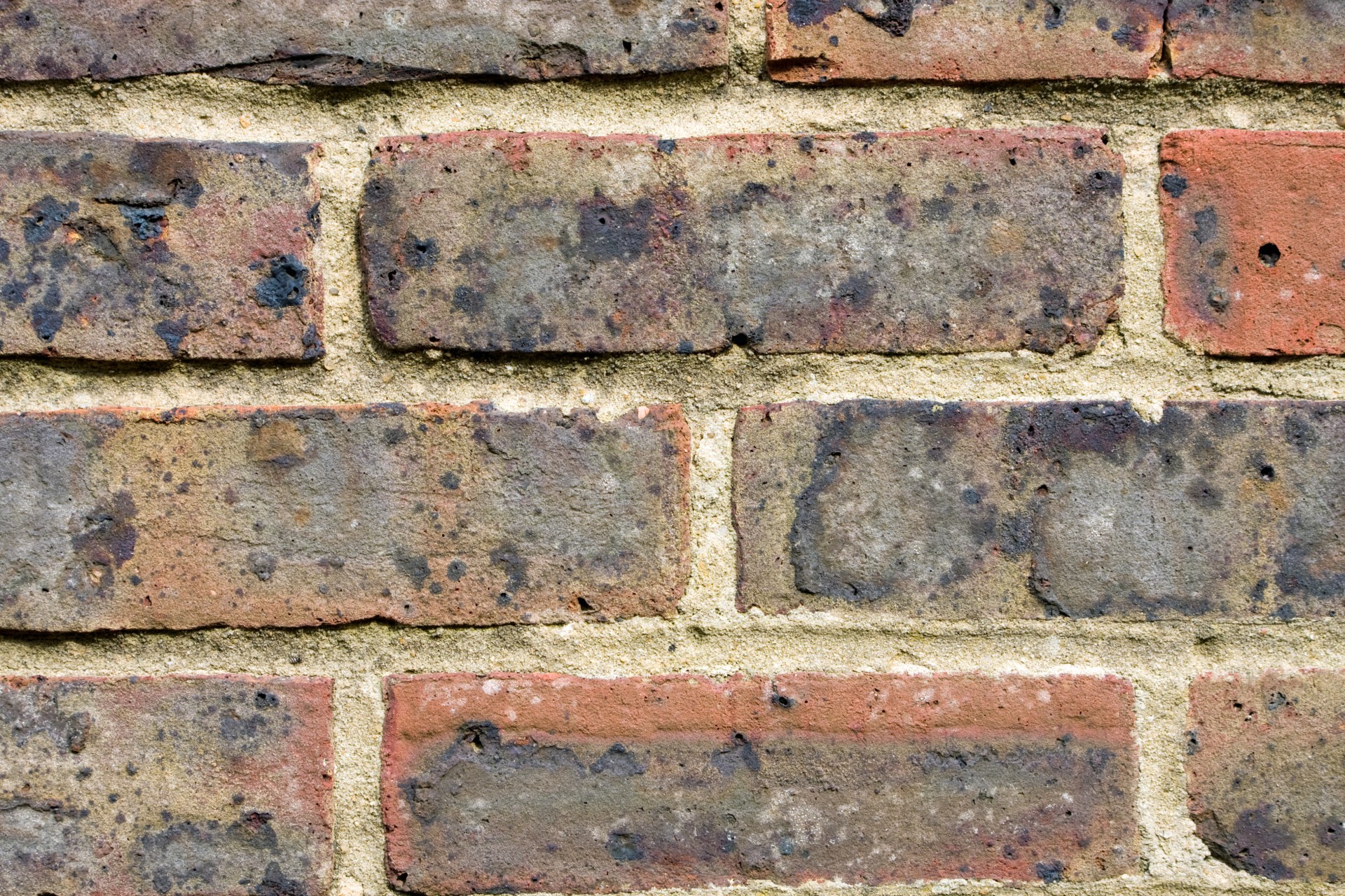 brickwall bricks texture free photo