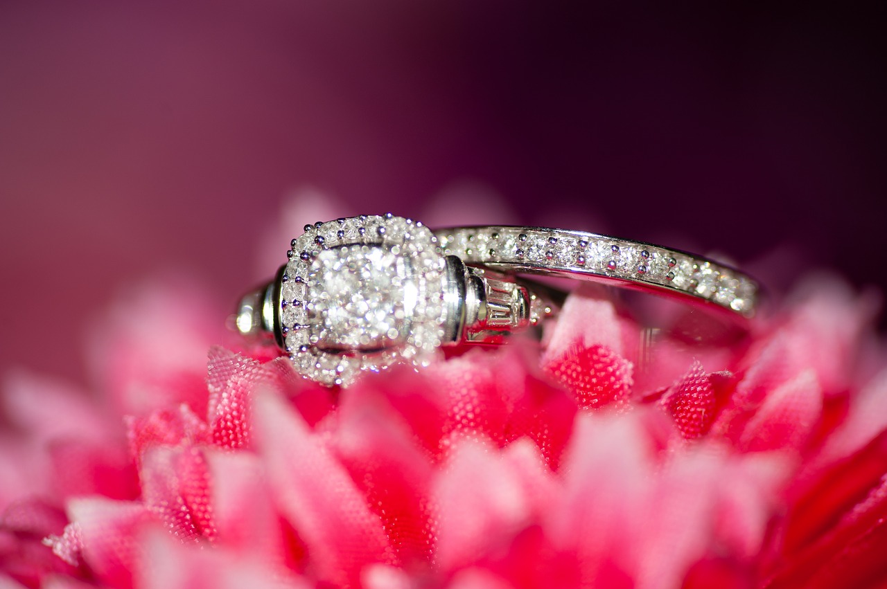 bridal  flowers  bokeh free photo