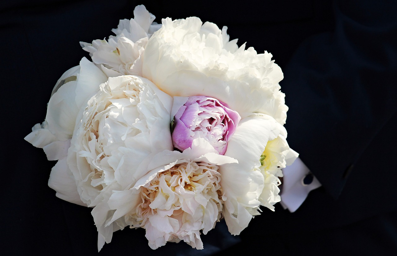 bridal bouquet peony bouquet free photo