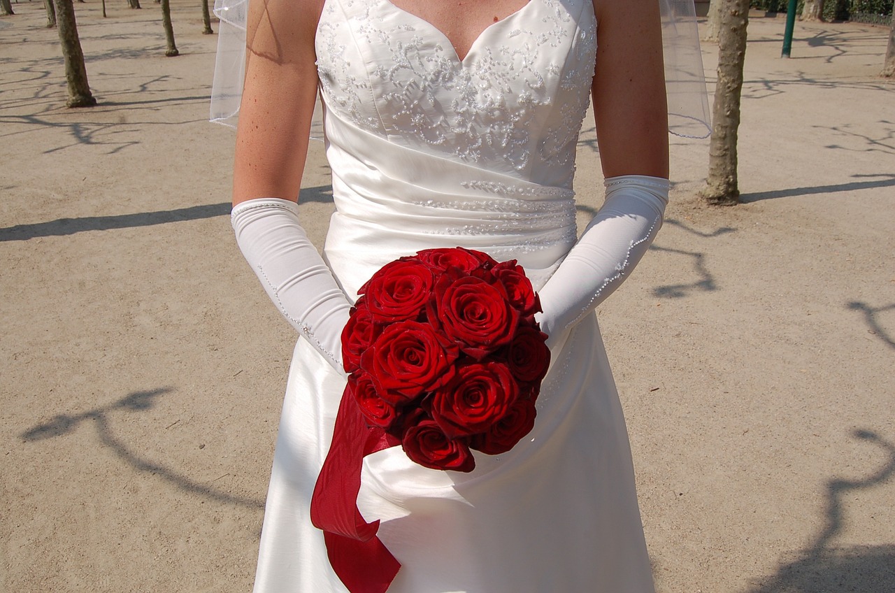 bride dress wedding dress free photo