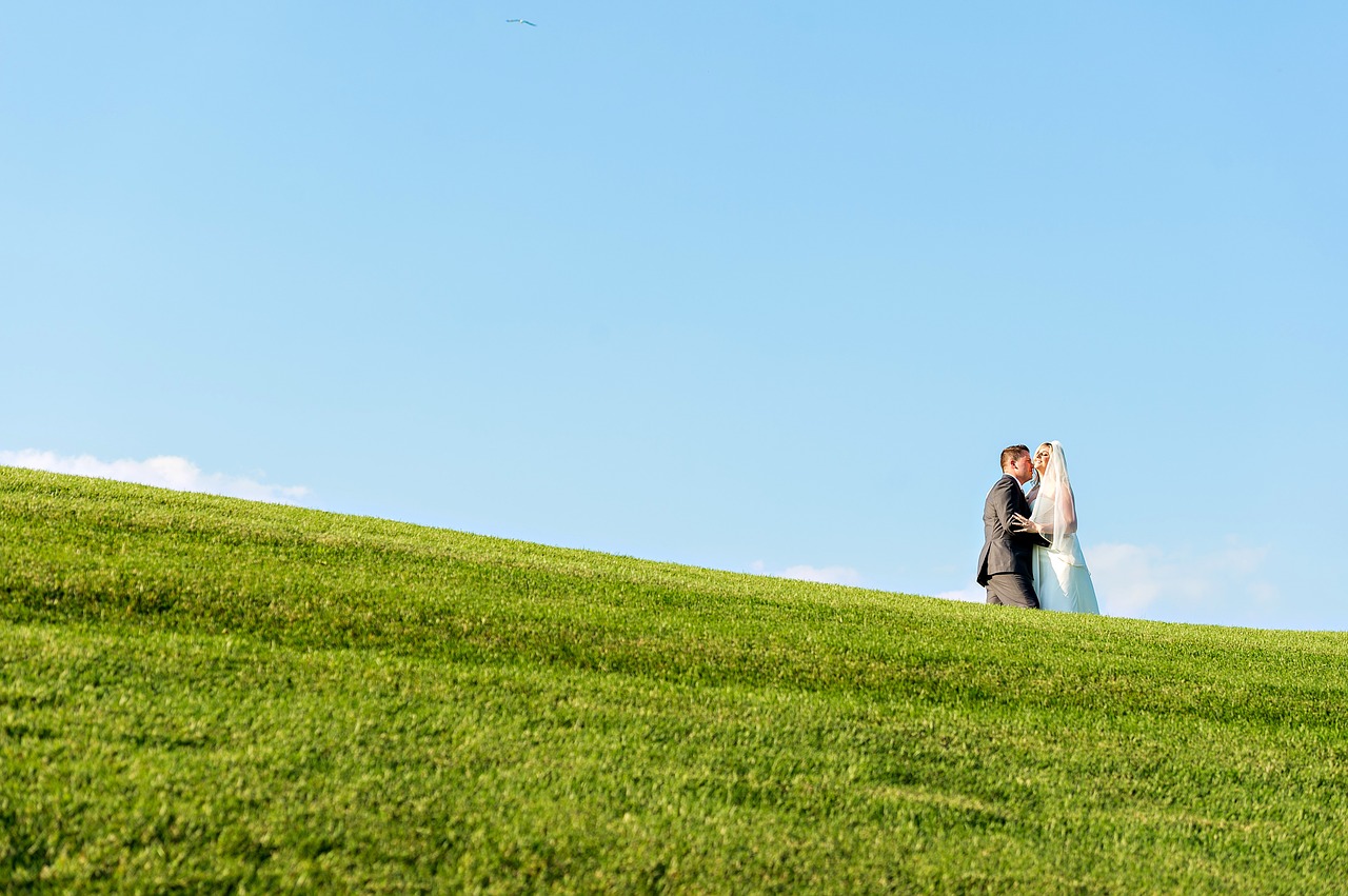 bride groom wedding free photo