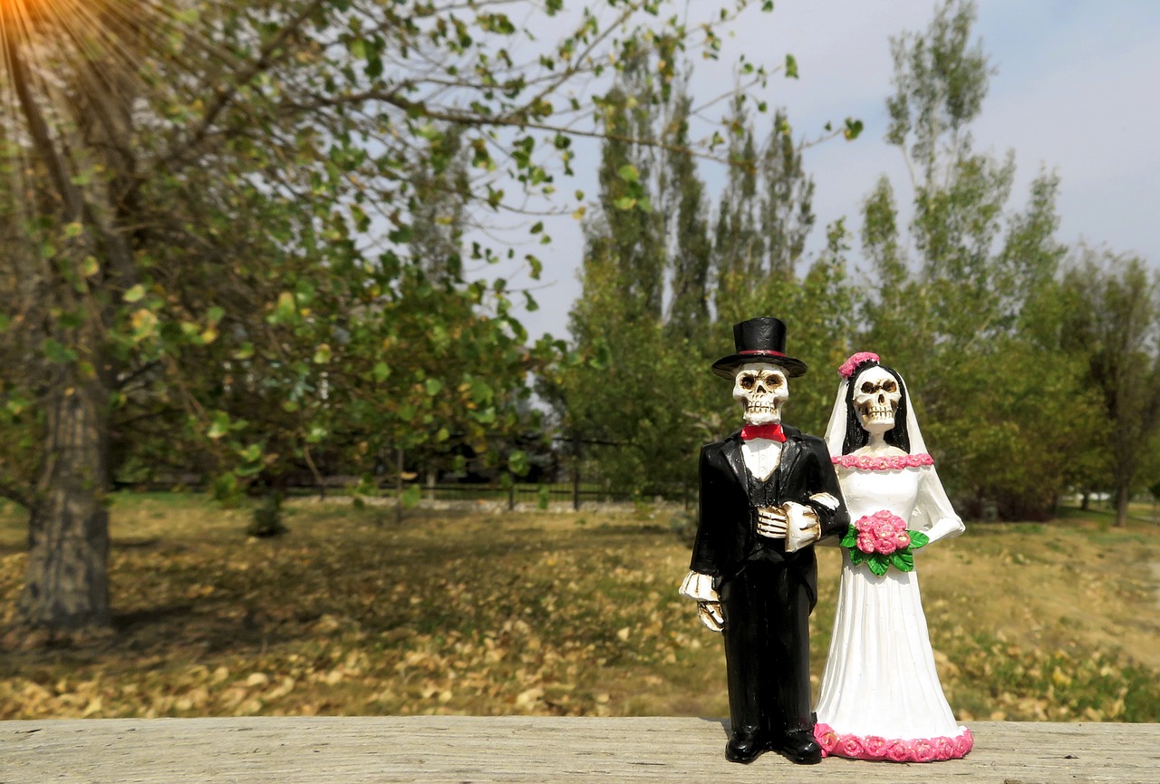 bride groom skeleton free photo