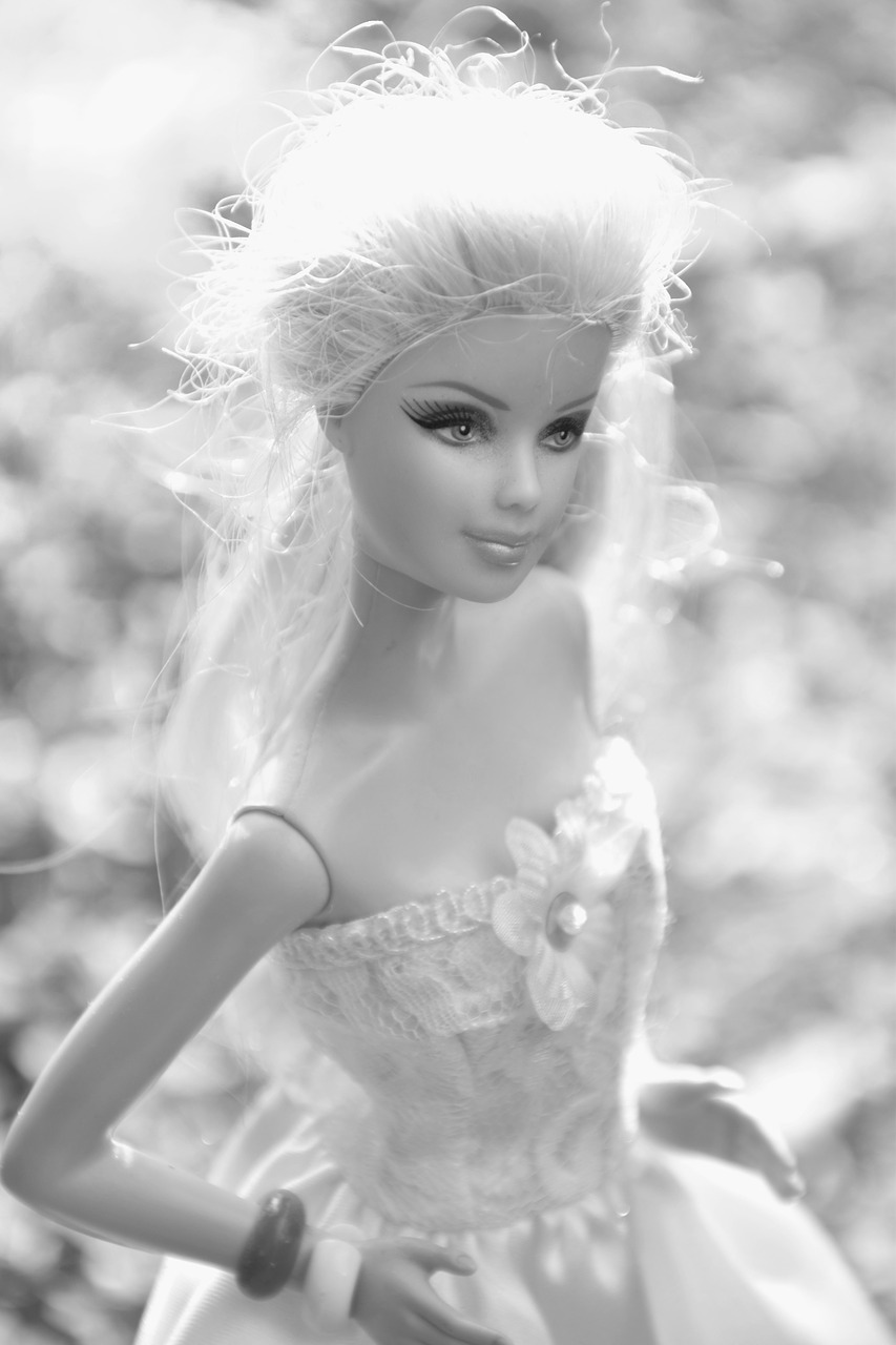 bride doll pretty free photo