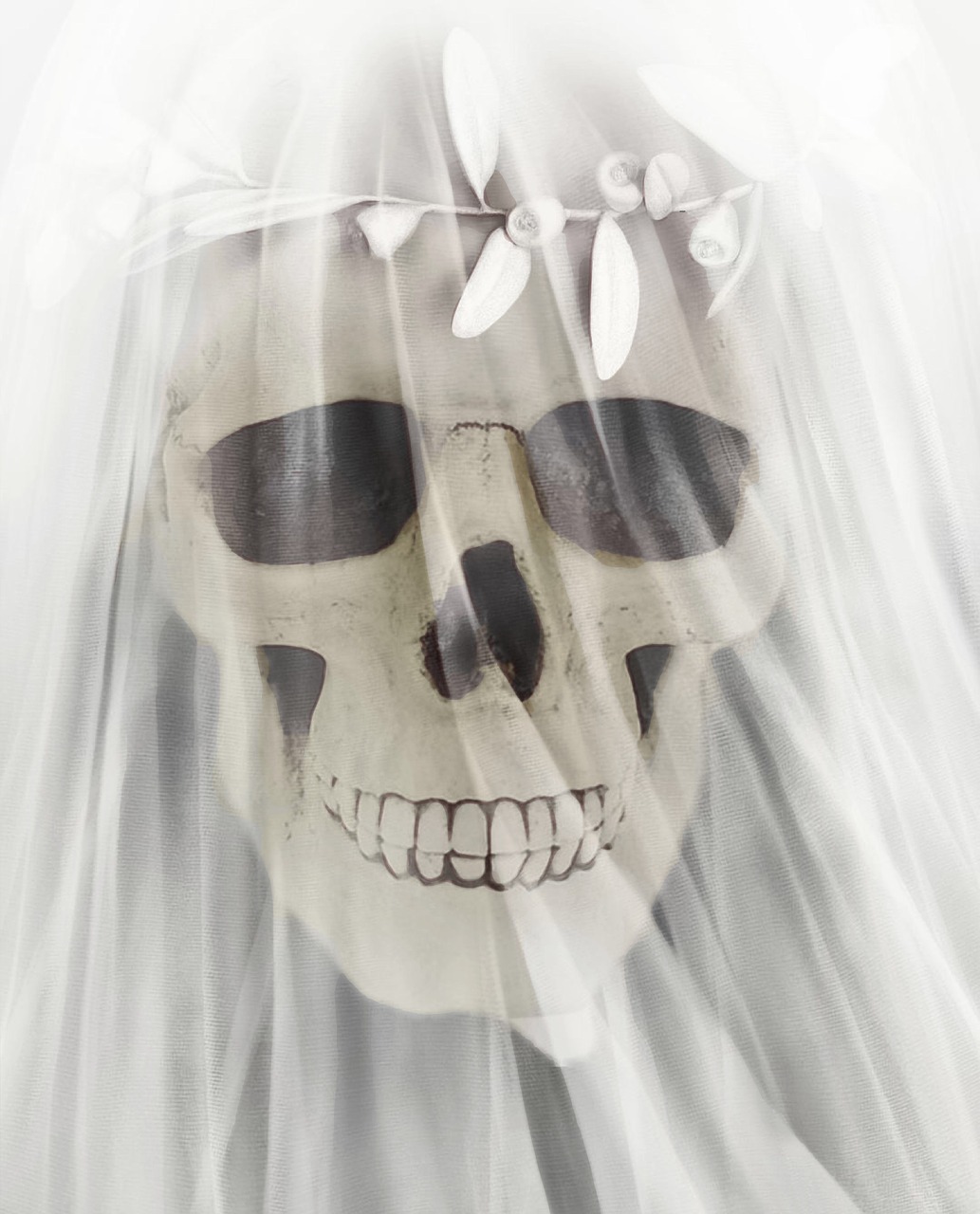 bride  skull  skeleton free photo