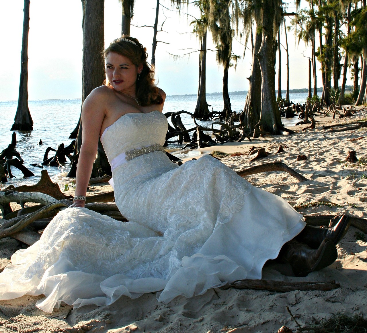 bride wedding dress free photo