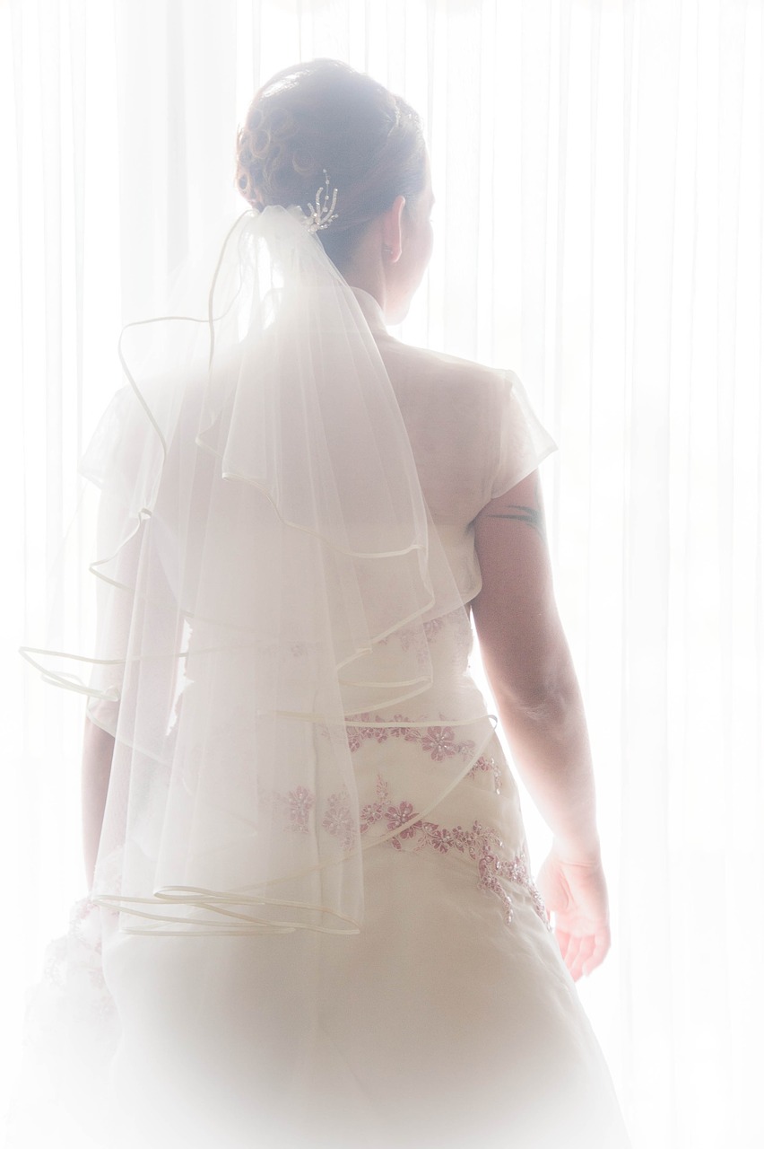 bride dress wedding free photo