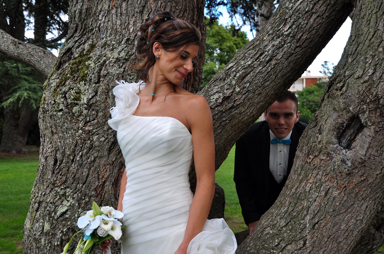 bride and groom free white free photo