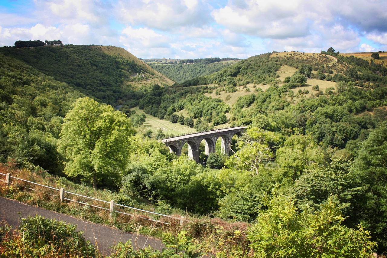 bridge landscape view free photo