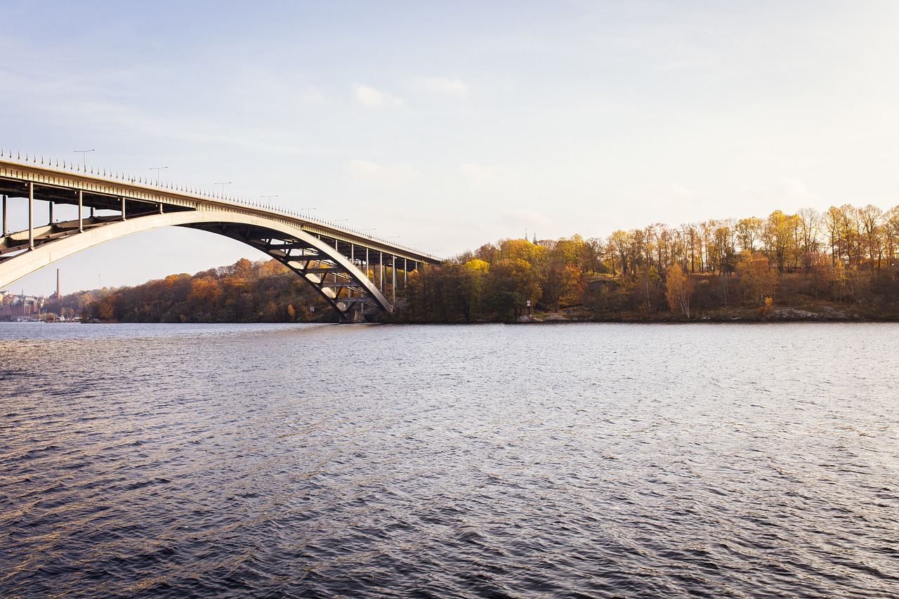 bridge water trees free photo