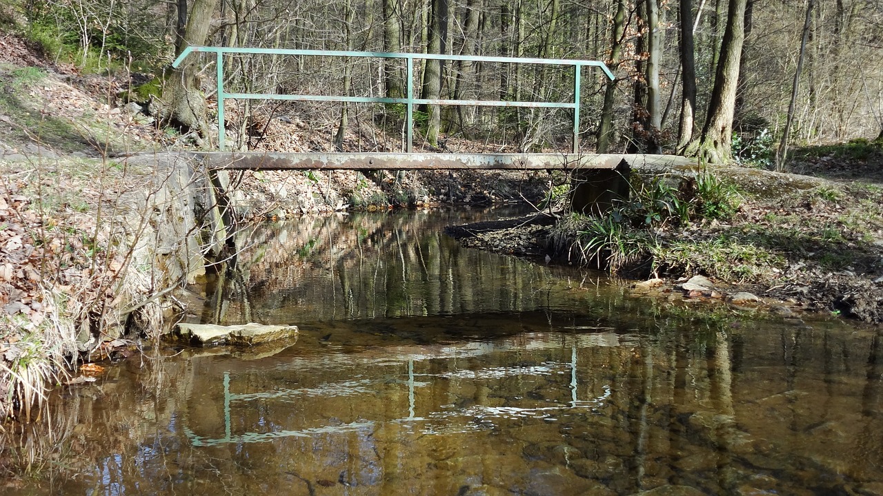 bridge water mirroring free photo