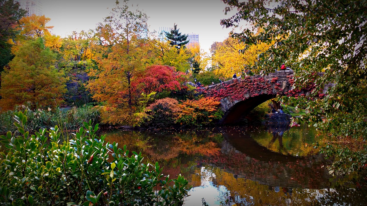 bridge nyc usa free photo