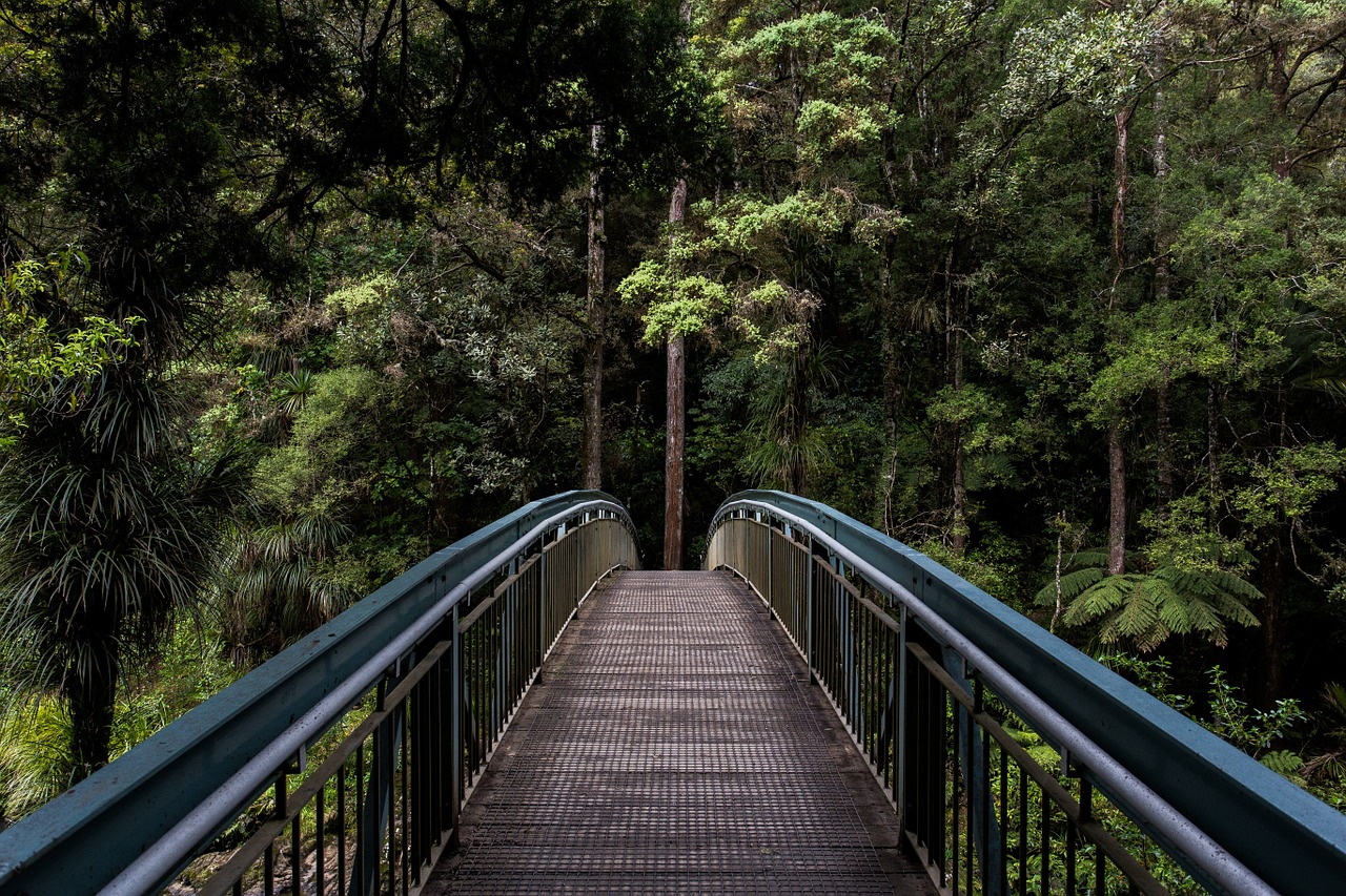 bridge railings forest free photo