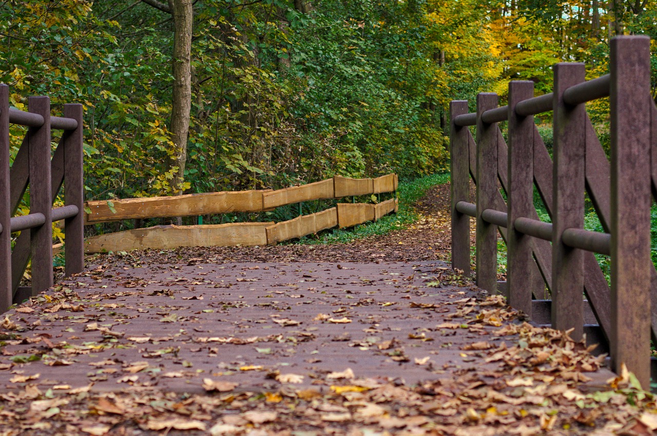 bridge autumn leaves free photo