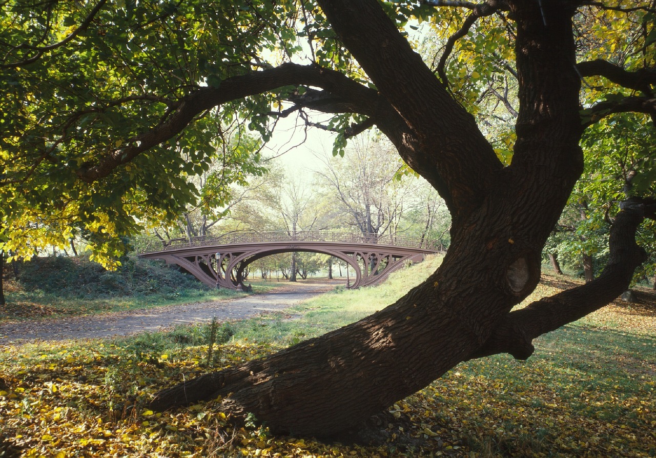 bridge landscape park free photo