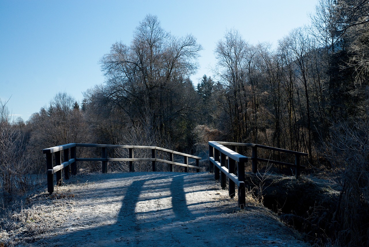 bridge wooden rime free photo