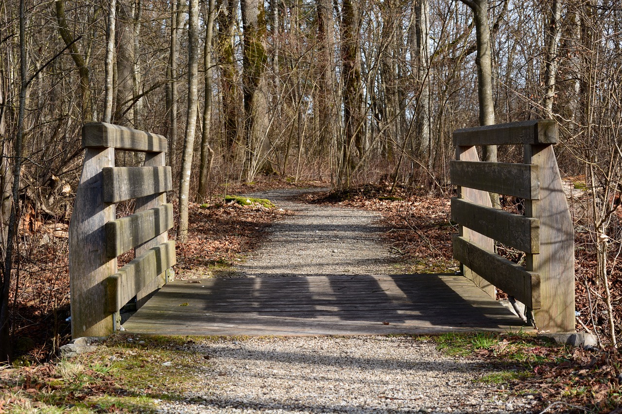 bridge web boardwalk free photo