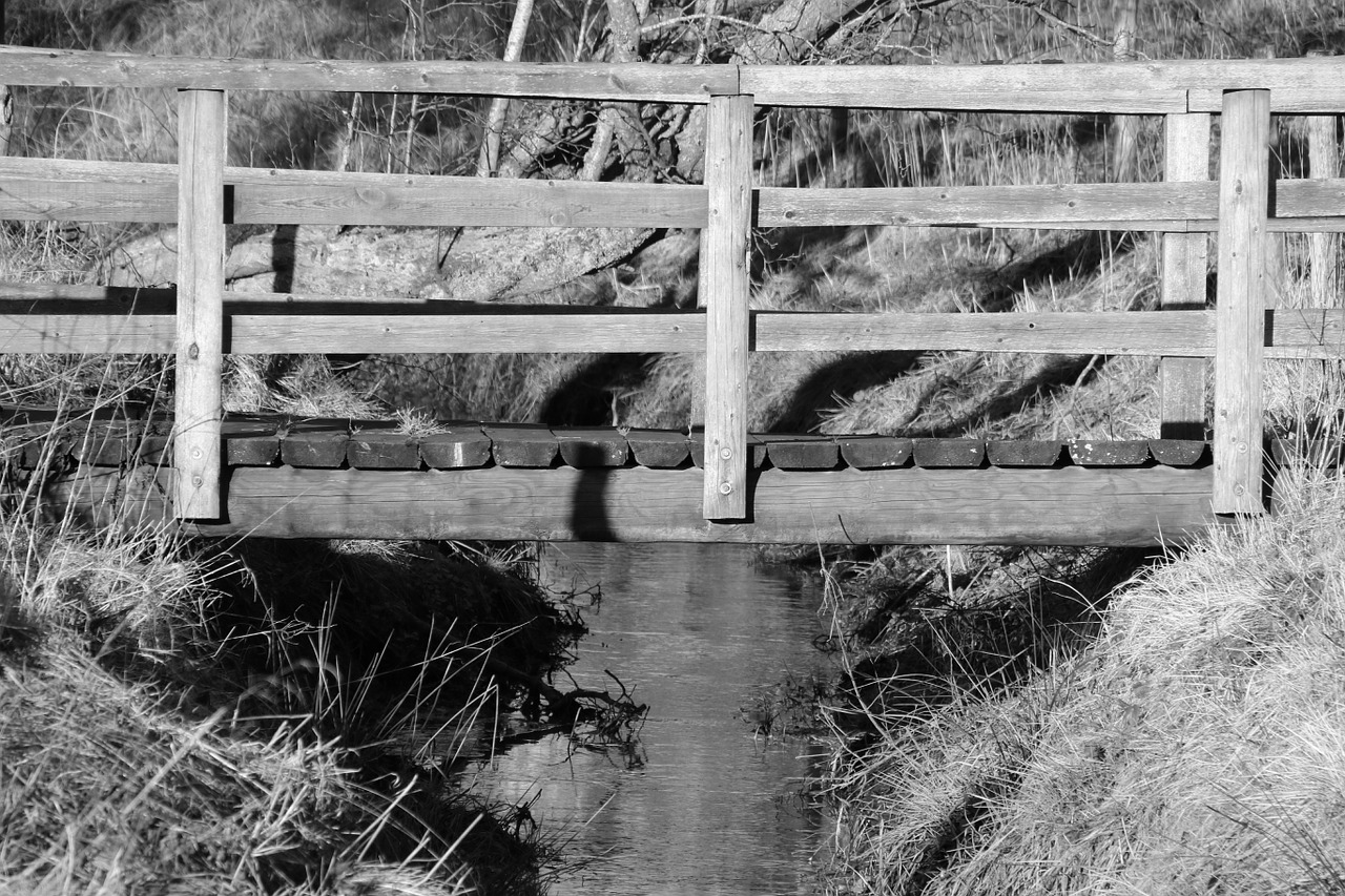 bridge water old free photo
