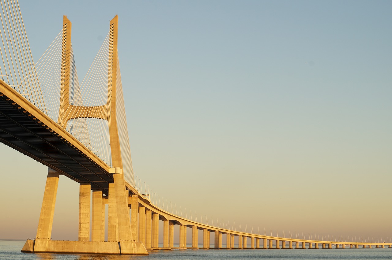 bridge rio architecture free photo