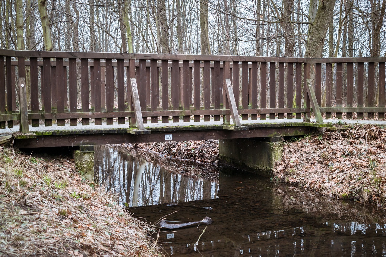 bridge bach railing free photo