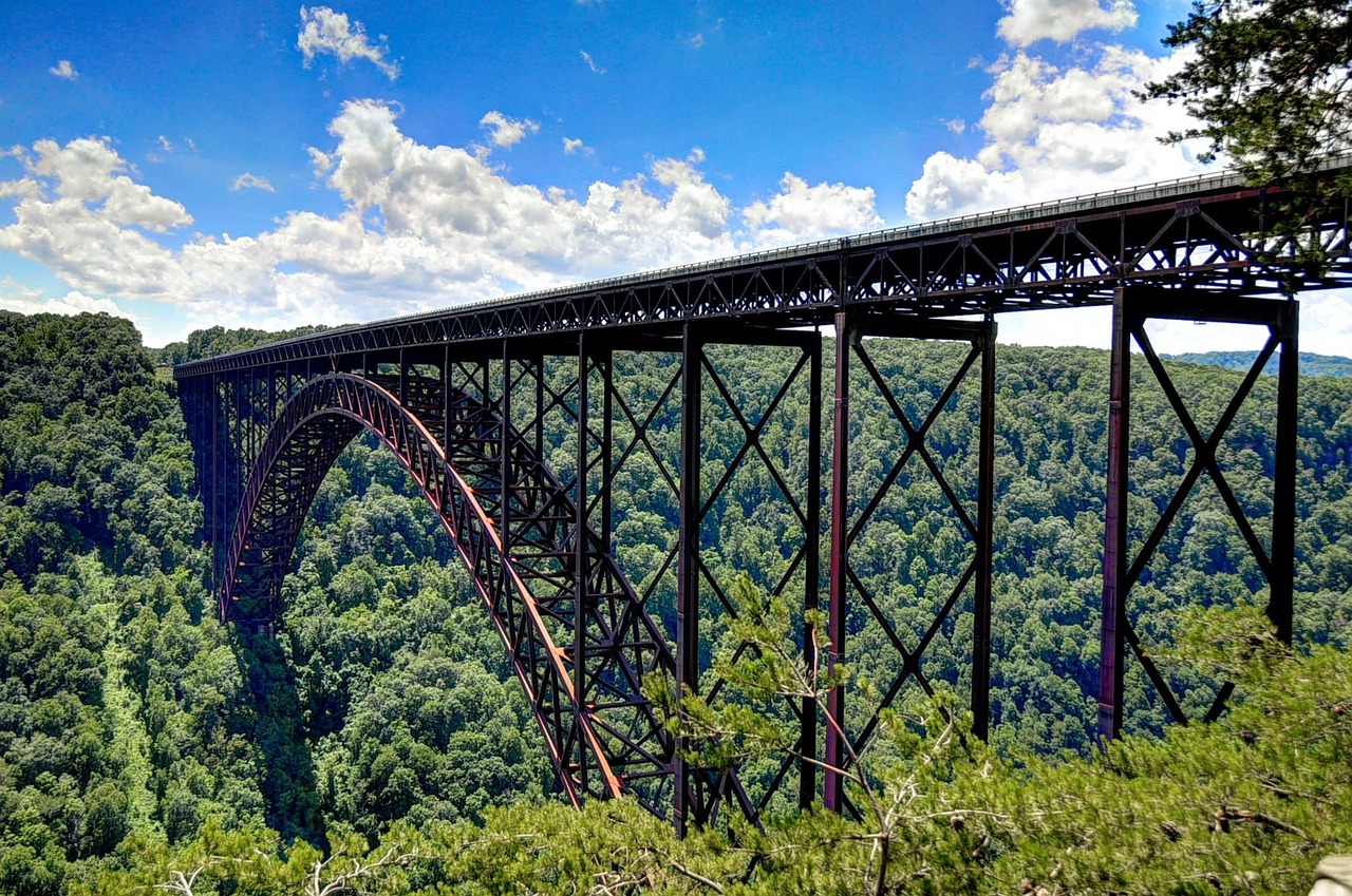 bridge nature view free photo