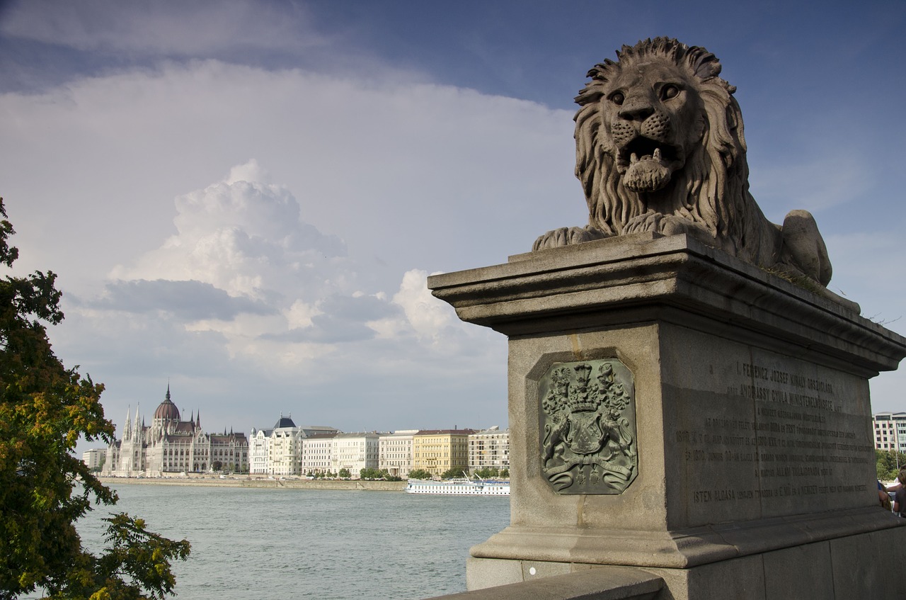 bridge budapest the parliament free photo